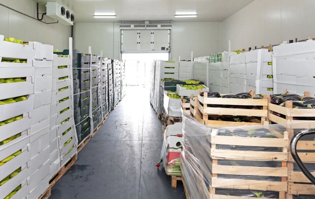 Airfreight Fresh Cargo